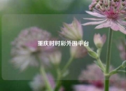 重庆时时彩外围平台