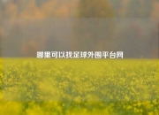 哪里可以找足球外围平台网