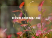 足球外围平台都有什么区别