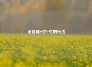 德信德州扑克的玩法