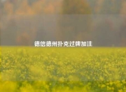德信德州扑克过牌加注