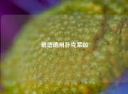 德信德州扑克紧凶