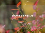 扑克牌德信德州怎么玩