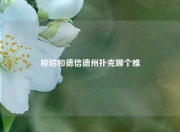 梭哈和德信德州扑克哪个难