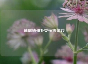 德信德州扑克玩钱游戏