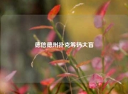 德信德州扑克筹码大盲