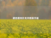 德信德州扑克攻略新手篇
