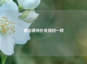 德信德州扑克顶对一样