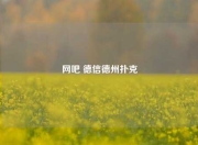 网吧 德信德州扑克