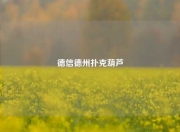 德信德州扑克葫芦