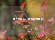 网上拿真钱打德信德州扑克
