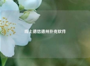 线上德信德州扑克软件