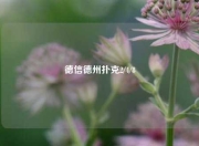 德信德州扑克2/4/8