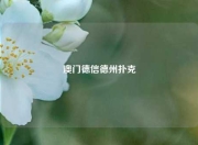 澳门德信德州扑克