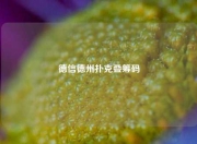 德信德州扑克叠筹码