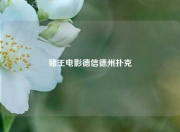 赌王电影德信德州扑克