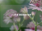 sohoo扑克 德信德州 安卓