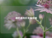 德信德州扑克俱乐部