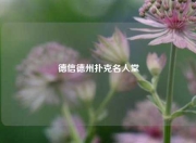 德信德州扑克名人堂
