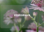 优酷德信德州扑克