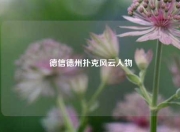 德信德州扑克风云人物