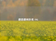 德信德州扑克 SNG
