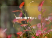 德信德州扑克怎么玩