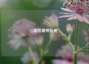 jj德信德州扑克
