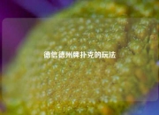 德信德州牌扑克的玩法