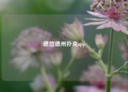 德信德州扑克app