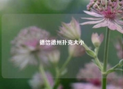 德信德州扑克大小