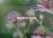 德信德州扑克安卓