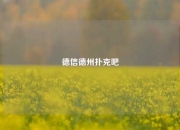 德信德州扑克吧