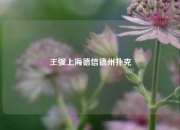 王强上海德信德州扑克