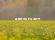 德信德州扑克发排顺序