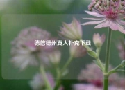 德信德州真人扑克下载
