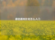 德信德州扑克怎么入门