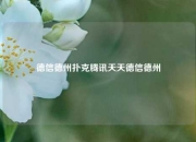 德信德州扑克腾讯天天德信德州