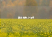 德信德州扑克牌