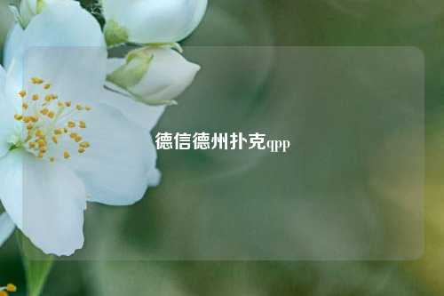 德信德州扑克qpp