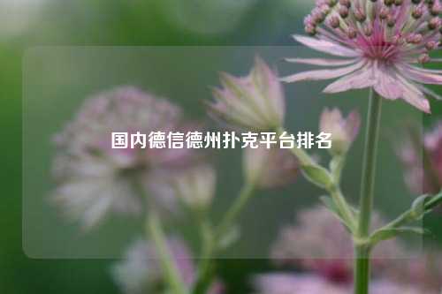 国内德信德州扑克平台排名