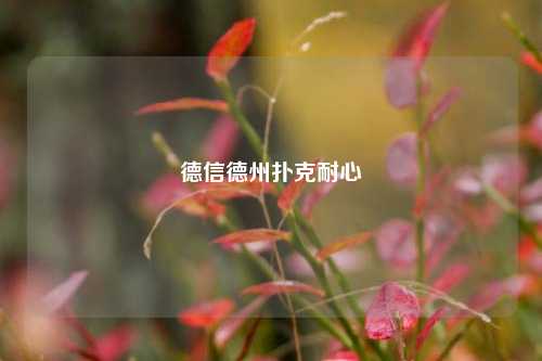 德信德州扑克耐心