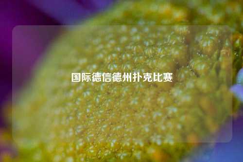 国际德信德州扑克比赛