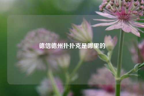 德信德州扑扑克是哪里的