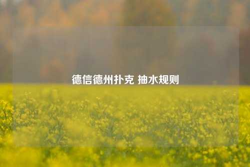 德信德州扑克 抽水规则