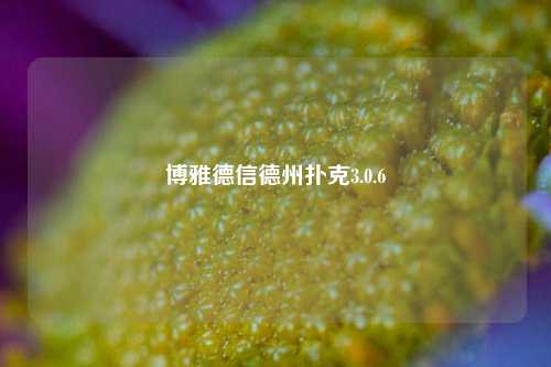 博雅德信德州扑克3.0.6