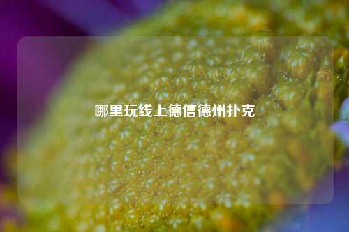 哪里玩线上德信德州扑克