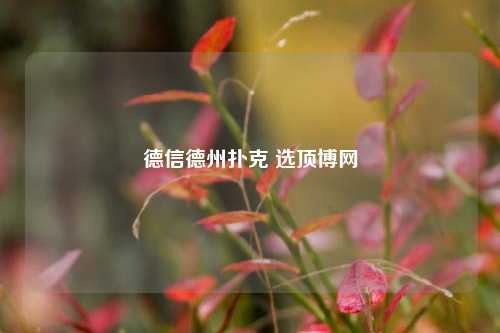 德信德州扑克 选顶博网
