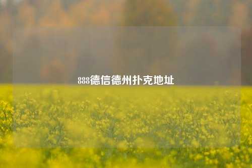 888德信德州扑克地址