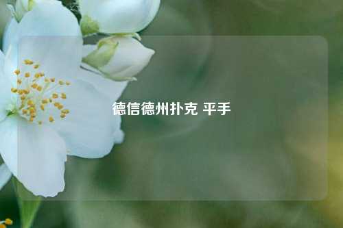 德信德州扑克 平手
